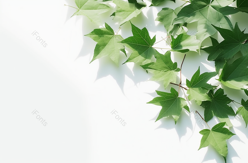 文艺|清新